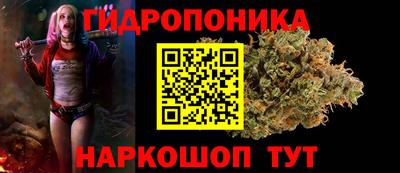 тгк Надым