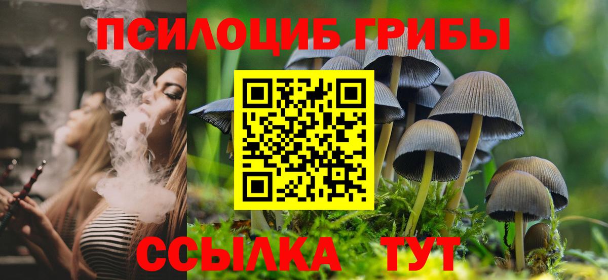 Магнитогорск  Галлюциногенные грибы GOLDEN TEACHER  Вход с VPN  что такое наркотик  Псилоцибиновые грибы прущие грибы 
